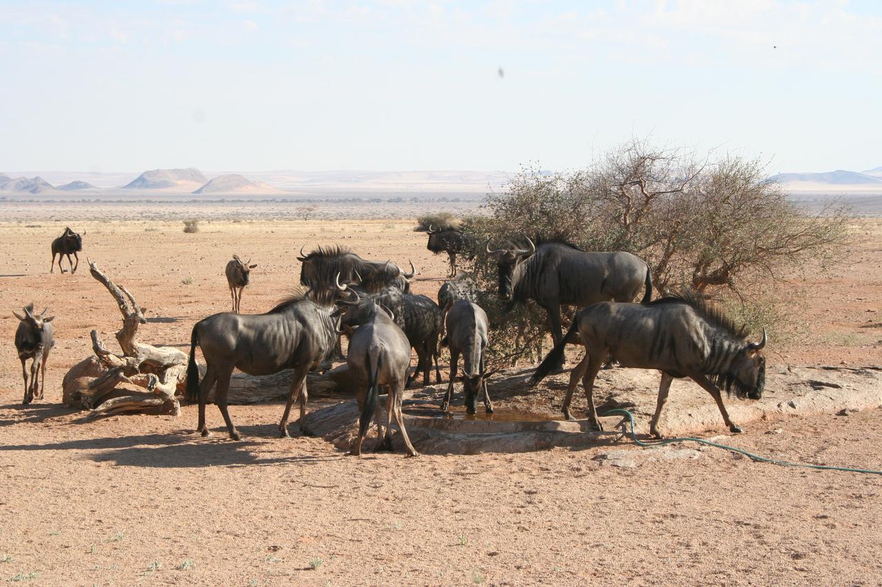 Namib Naukluft Lodge Solitaire Ngoại thất bức ảnh